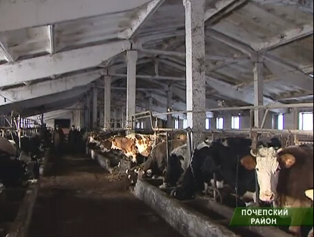 Предоставление кредита для КФХ Картавой С.К.