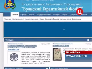 Презентация нового сайта ГАУ Брянский Гарантийный Фонд